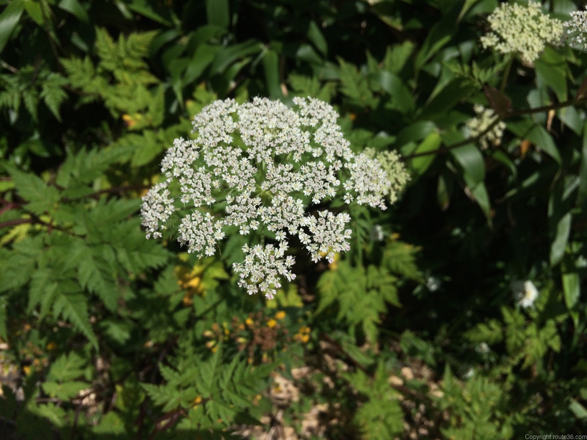 th_IMG_1080